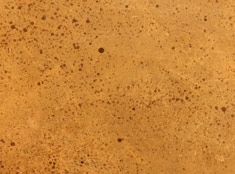 Gold Leafing Palette